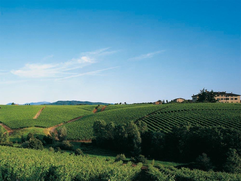 Agroturismo Tenuta La Marchesa